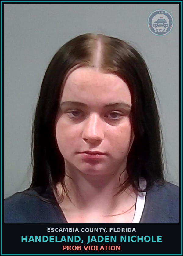 Booking mugshot of HANDELAND, JADEN NICHOLE in Escambia County