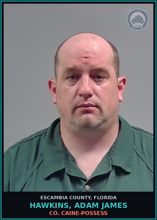 Booking mugshot of HAWKINS, ADAM JAMES in Escambia County