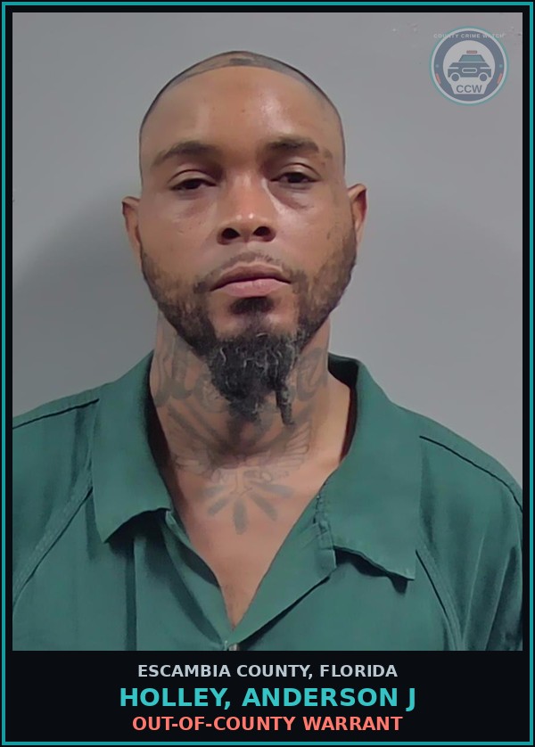 Booking mugshot of HOLLEY, ANDERSON J in Escambia County