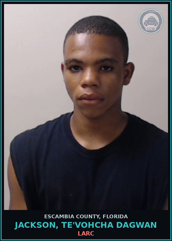 Booking mugshot of JACKSON, TE'VOHCHA DAGWAN in Escambia County