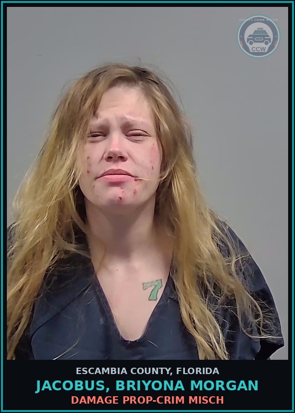 Booking mugshot of JACOBUS, BRIYONA MORGAN in Escambia County