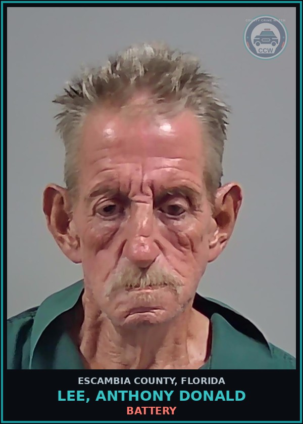 Booking mugshot of LEE, ANTHONY DONALD in Escambia County