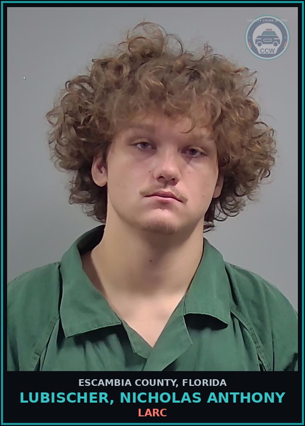 Booking mugshot of LUBISCHER, NICHOLAS ANTHONY in Escambia County