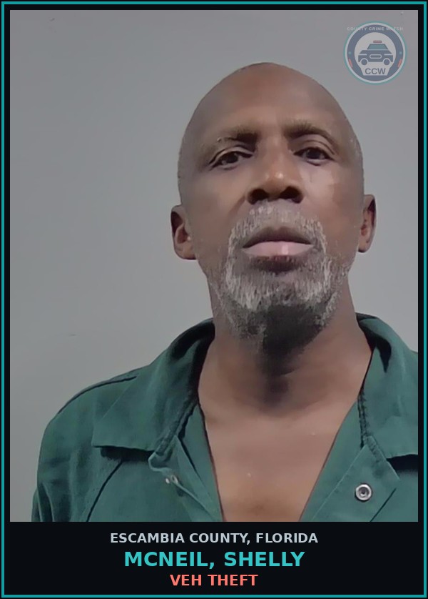 Booking mugshot of MCNEIL, SHELLY in Escambia County