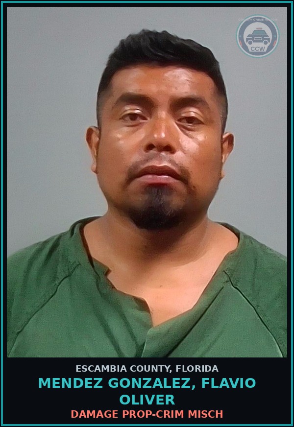 Booking mugshot of MENDEZ GONZALEZ, FLAVIO OLIVER in Escambia County