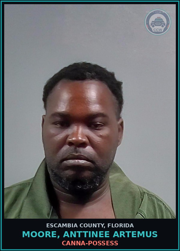 Booking mugshot of MOORE, ANTTINEE ARTEMUS in Escambia County
