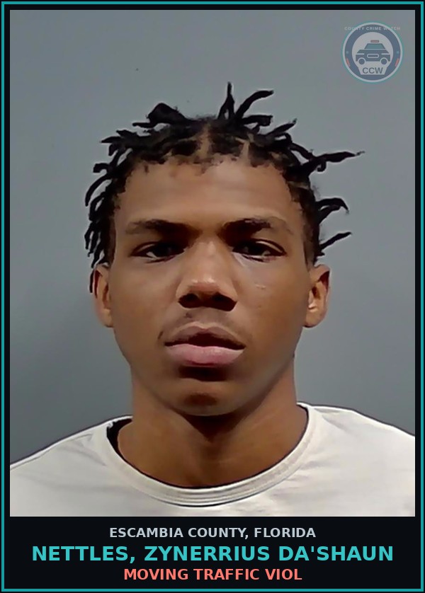 Booking mugshot of NETTLES, ZYNERRIUS DA'SHAUN in Escambia County