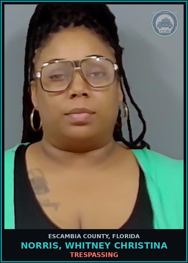Booking mugshot of NORRIS, WHITNEY CHRISTINA in Escambia County
