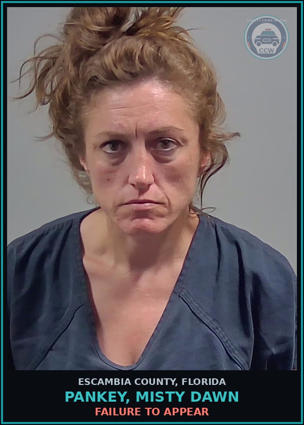 Booking mugshot of PANKEY, MISTY DAWN in Escambia County