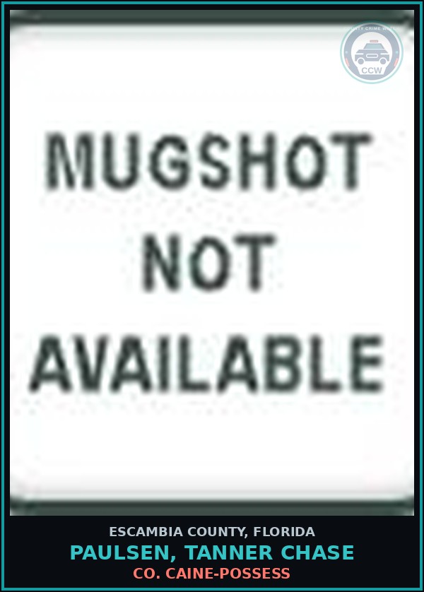 Booking mugshot of PAULSEN, TANNER CHASE in Escambia County