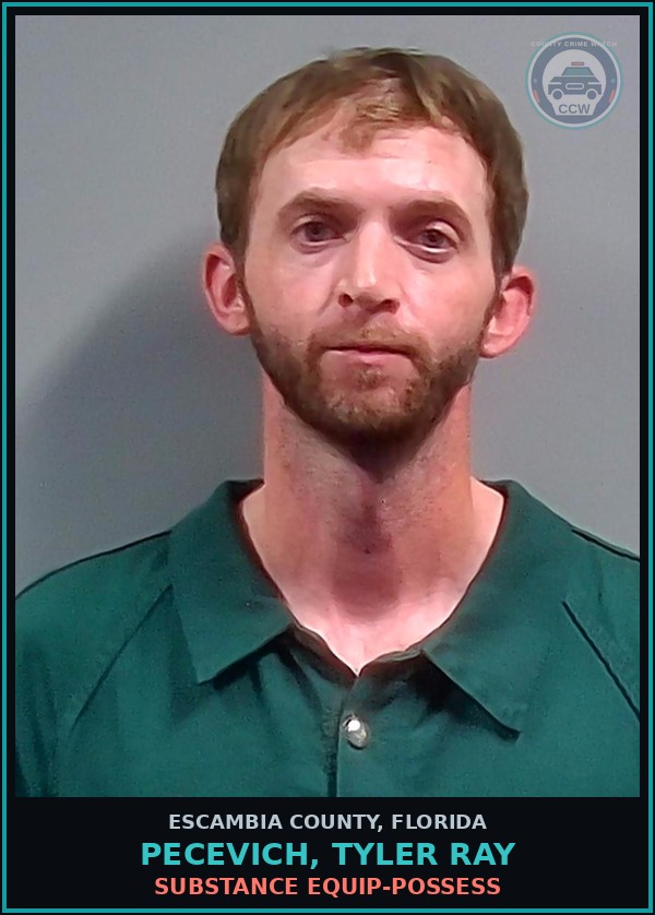 Booking mugshot of PECEVICH, TYLER RAY in Escambia County