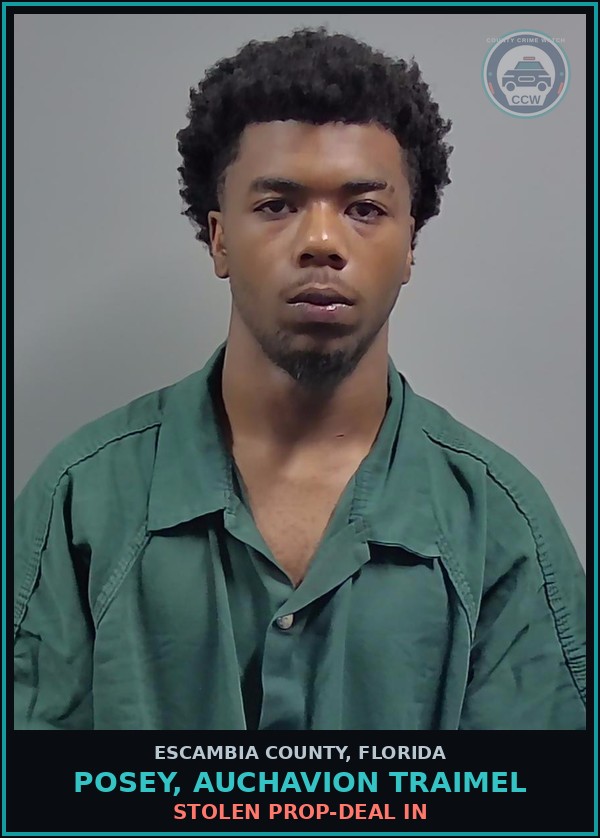 Booking mugshot of POSEY, AUCHAVION TRAIMEL in Escambia County