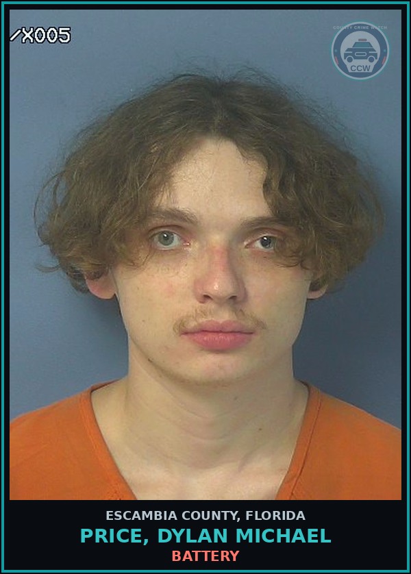 Booking mugshot of PRICE, DYLAN MICHAEL in Escambia County