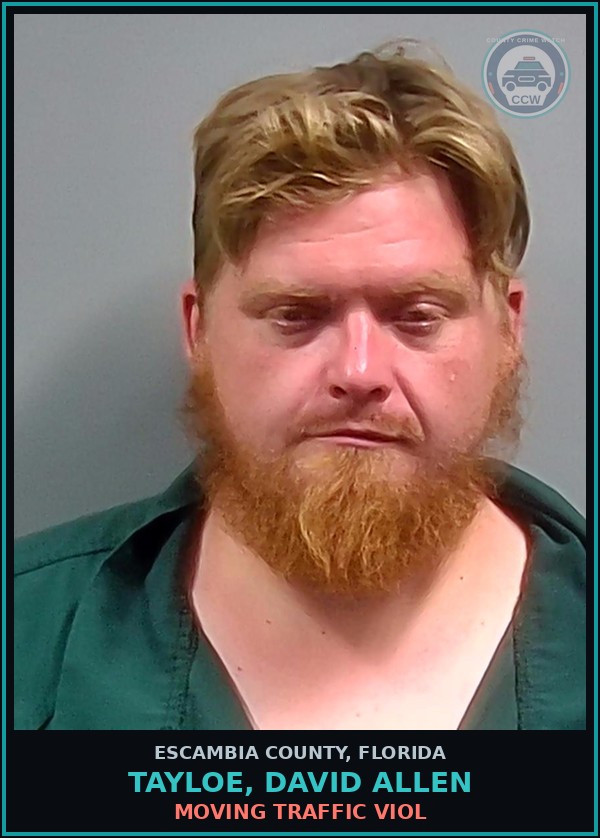 Booking mugshot of TAYLOE, DAVID ALLEN in Escambia County
