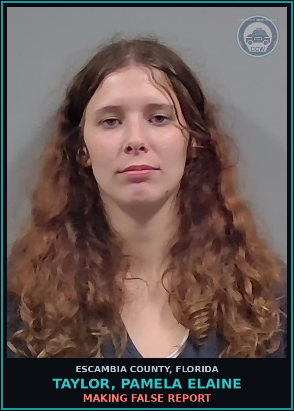 Booking mugshot of TAYLOR, PAMELA ELAINE in Escambia County