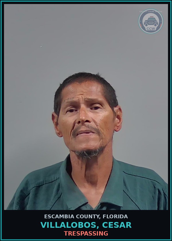 Booking mugshot of VILLALOBOS, CESAR in Escambia County