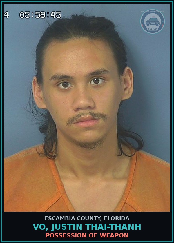 Booking mugshot of VO, JUSTIN THAI-THANH in Escambia County