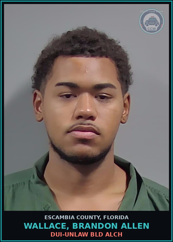 Booking mugshot of WALLACE, BRANDON ALLEN in Escambia County