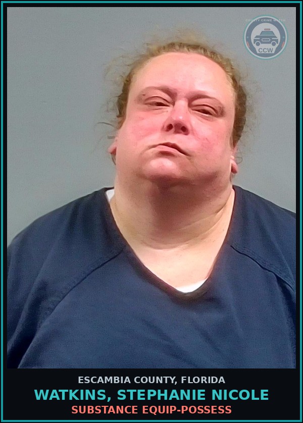 Booking mugshot of WATKINS, STEPHANIE NICOLE in Escambia County
