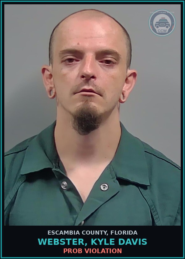 Booking mugshot of WEBSTER, KYLE DAVIS in Escambia County