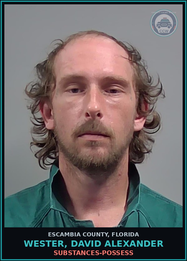 Booking mugshot of WESTER, DAVID ALEXANDER in Escambia County