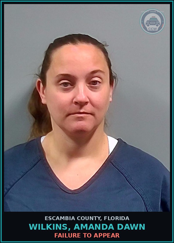 Booking mugshot of WILKINS, AMANDA DAWN in Escambia County