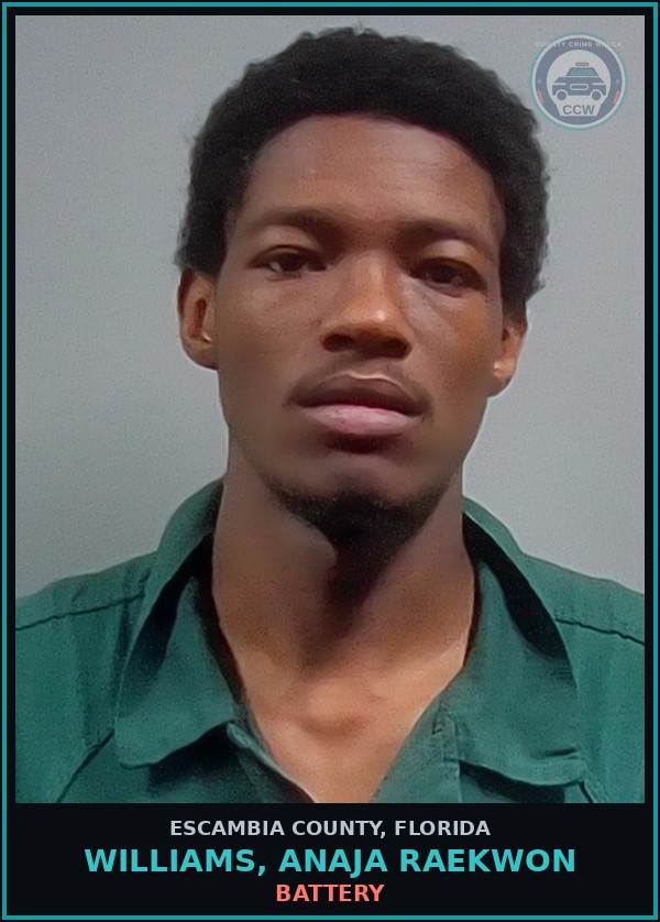 Booking mugshot of WILLIAMS, ANAJA RAEKWON in Escambia County