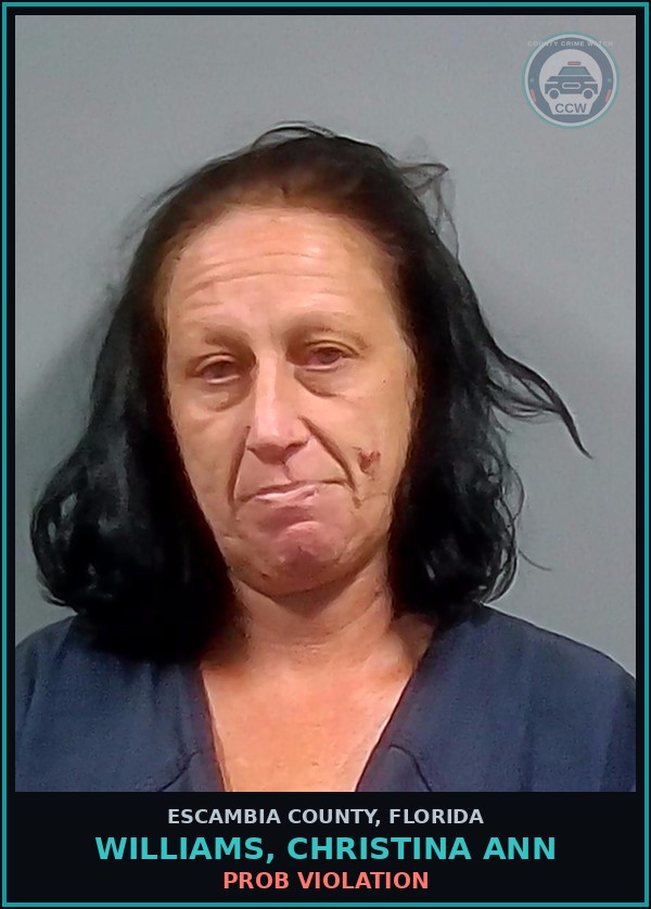 Booking mugshot of WILLIAMS, CHRISTINA ANN in Escambia County