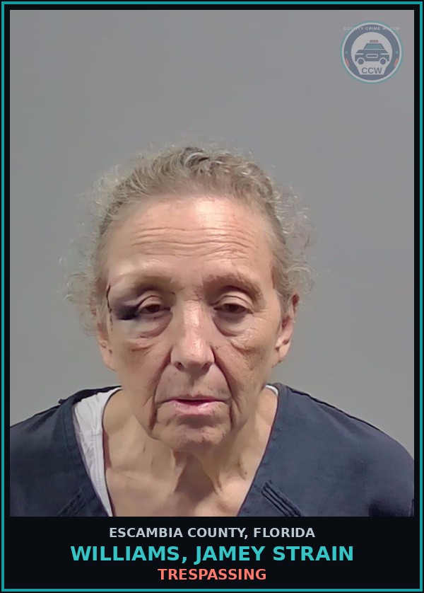 Booking mugshot of WILLIAMS, JAMEY STRAIN in Escambia County