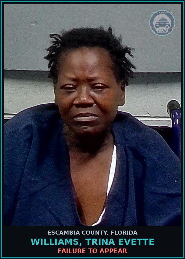 Booking mugshot of WILLIAMS, TRINA EVETTE in Escambia County