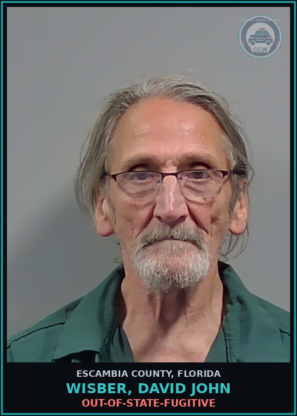 Booking mugshot of WISBER, DAVID JOHN in Escambia County