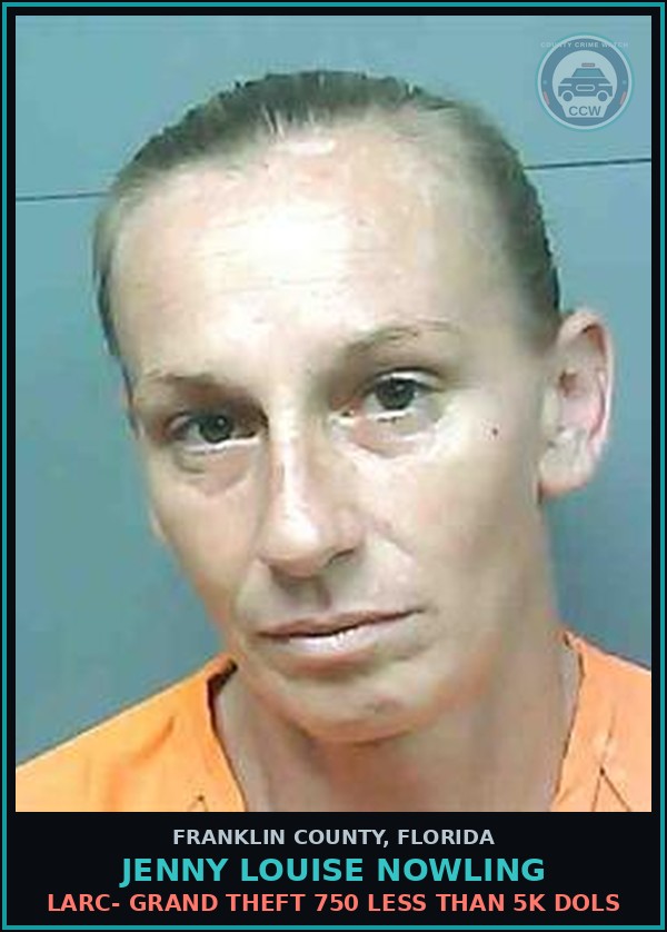 Booking mugshot of Jenny Louise Nowling in Franklin County