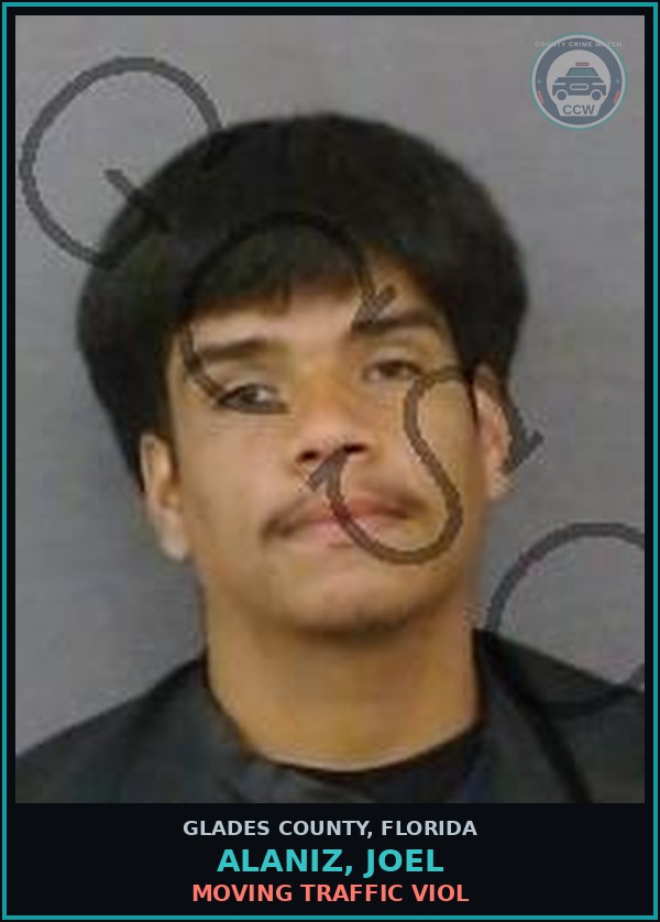Booking mugshot of ALANIZ, JOEL in Glades County