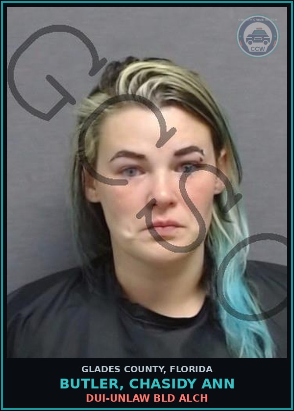Booking mugshot of BUTLER, CHASIDY ANN in Glades County