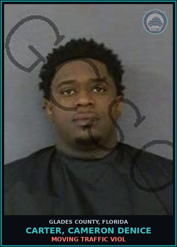 Booking mugshot of CARTER, CAMERON DENICE in Glades County