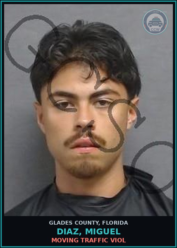 Booking mugshot of DIAZ, MIGUEL in Glades County