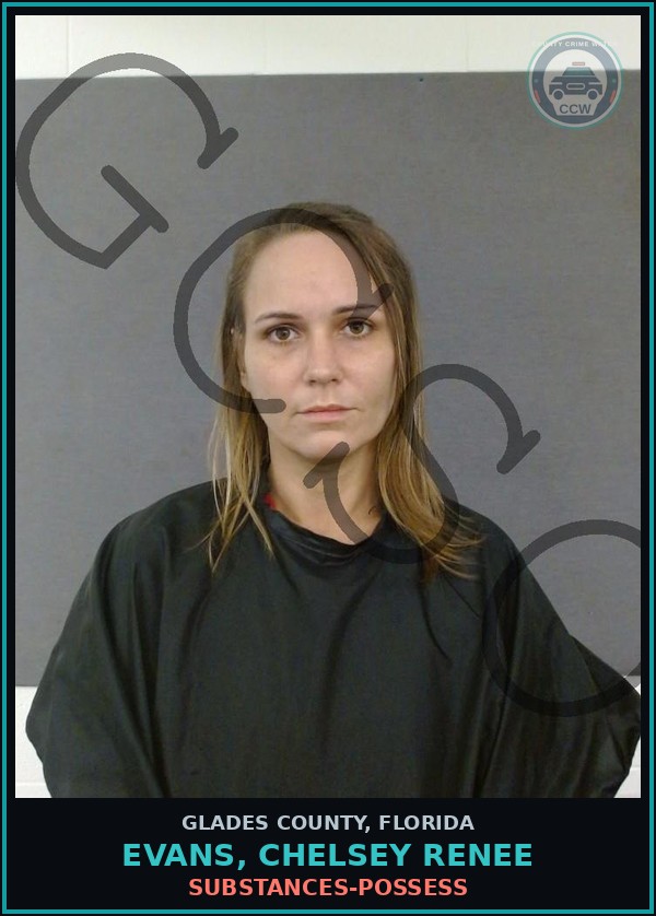 Booking mugshot of EVANS, CHELSEY RENEE in Glades County