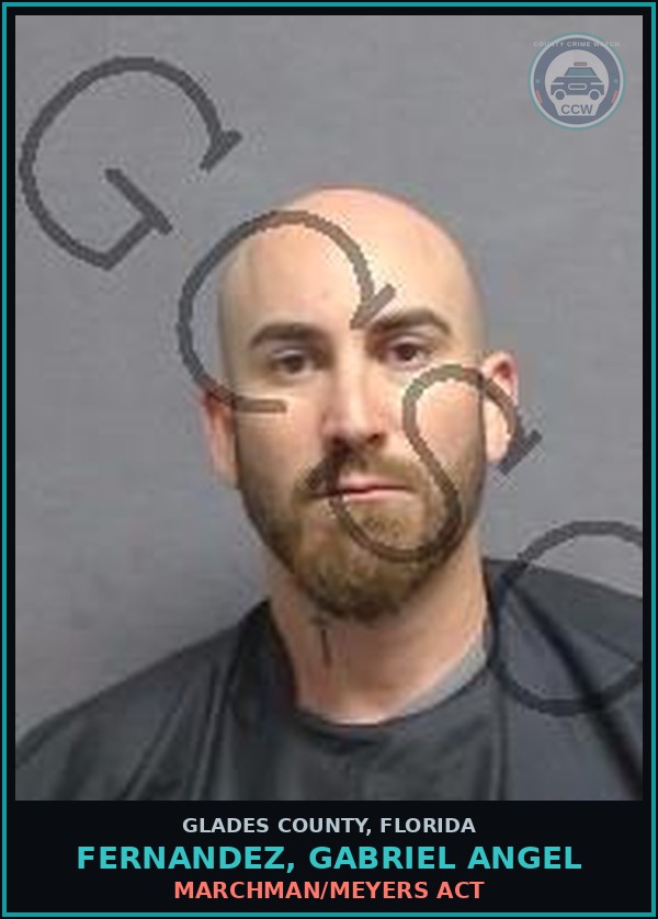 Booking mugshot of FERNANDEZ, GABRIEL ANGEL in Glades County