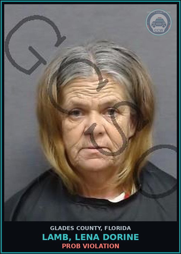 Booking mugshot of LAMB, LENA DORINE in Glades County