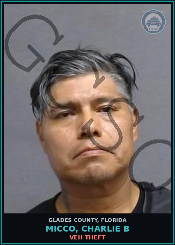 Booking mugshot of MICCO, CHARLIE B in Glades County