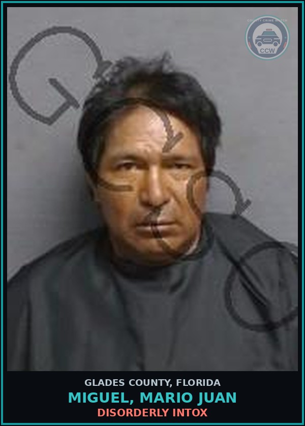Booking mugshot of MIGUEL, MARIO JUAN in Glades County