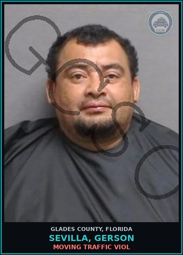 Booking mugshot of SEVILLA, GERSON in Glades County