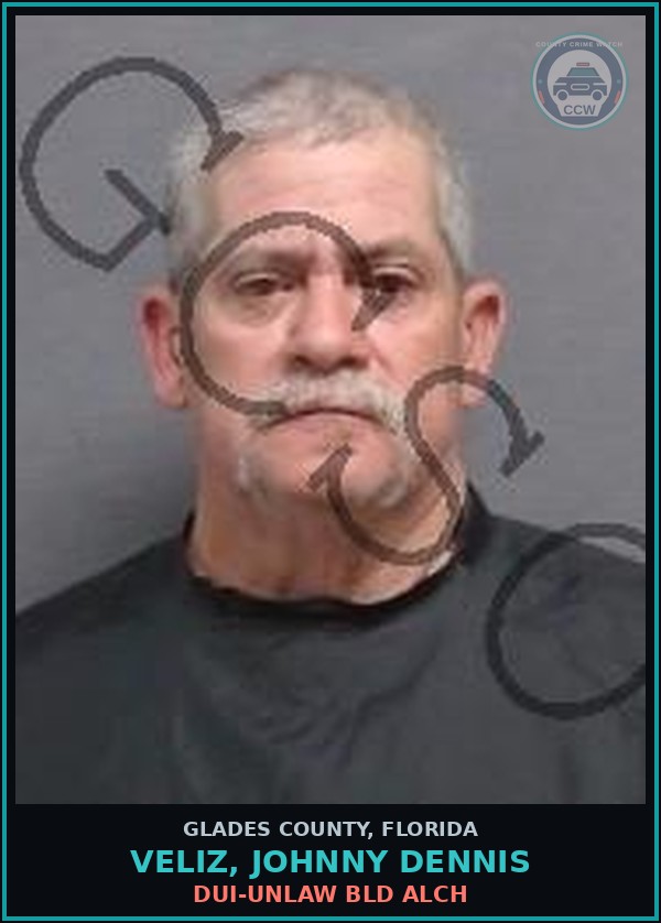 Booking mugshot of VELIZ, JOHNNY DENNIS in Glades County