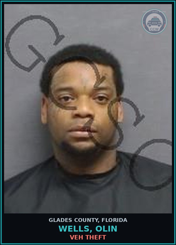 Booking mugshot of WELLS, OLIN in Glades County