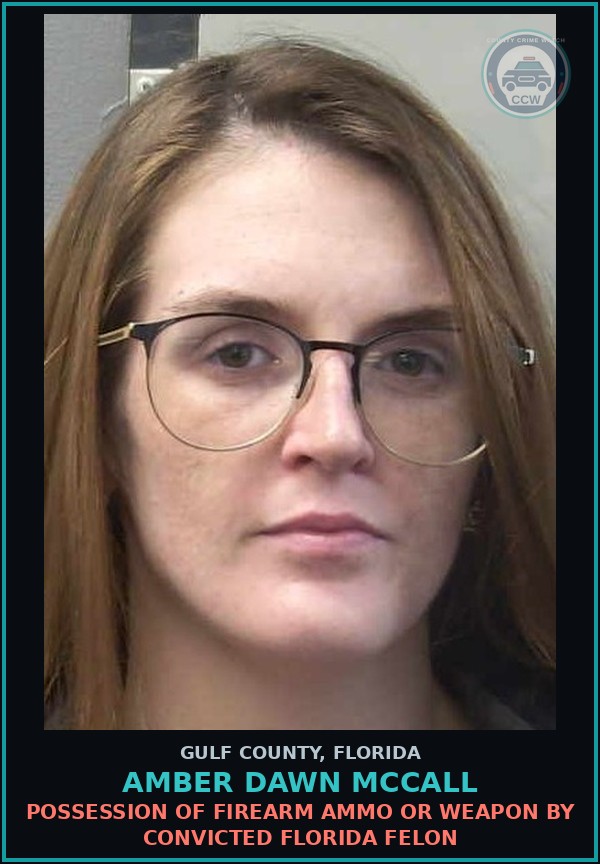 Booking mugshot of AMBER DAWN MCCALL in Gulf County