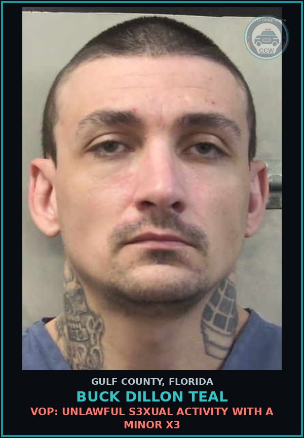 Booking mugshot of BUCK DILLON TEAL in Gulf County
