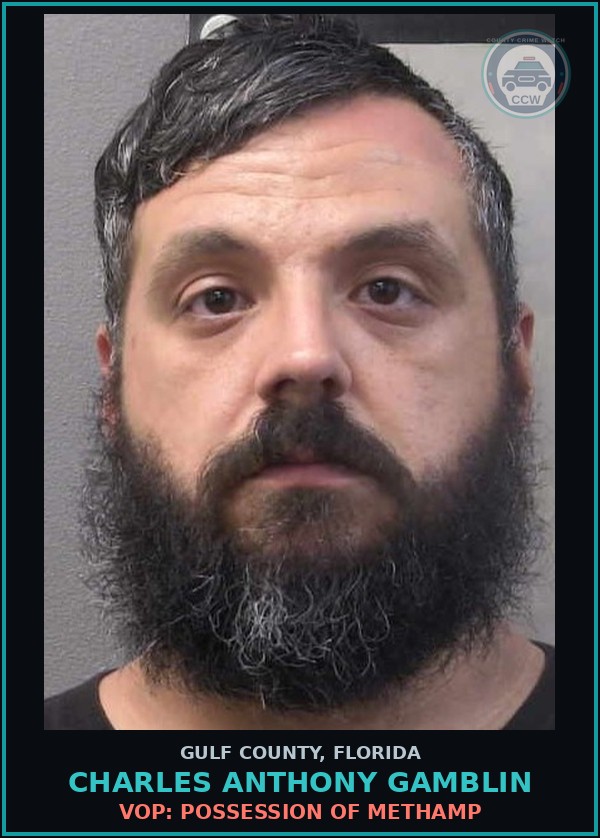 Booking mugshot of CHARLES ANTHONY GAMBLIN in Gulf County