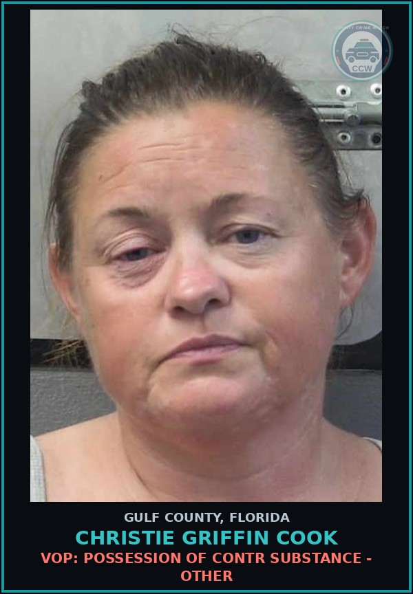 Booking mugshot of CHRISTIE GRIFFIN COOK in Gulf County