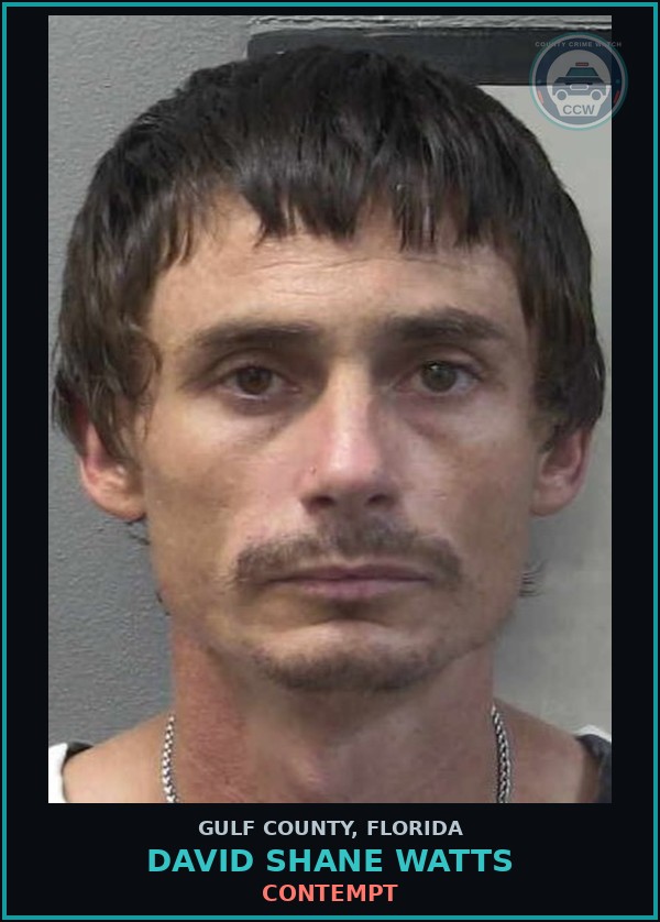 Booking mugshot of DAVID SHANE WATTS in Gulf County