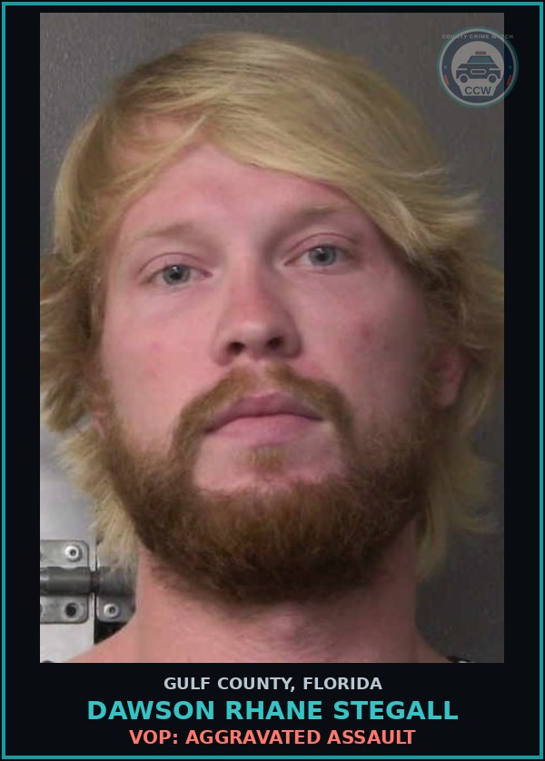Booking mugshot of DAWSON RHANE STEGALL in Gulf County